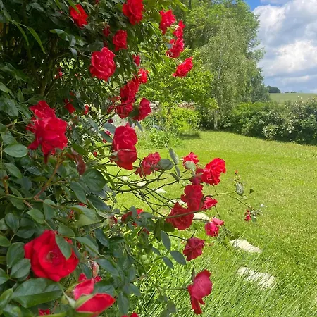 Apartamento Jardin Et Parking Pérouges *